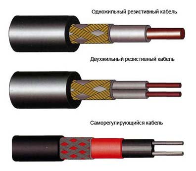 Основные виды