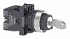 Управляющий переключатель Schneider Electric Thorsman, 2 позиции, XA2EG43, XA2EG43