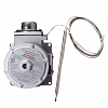 RAYSTAT EX-02 (EEx d II C) Управляющий термостат
