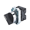 Переключатель NP2-BD33, 3 положения фиксацией, 2НО, IP40 (R)